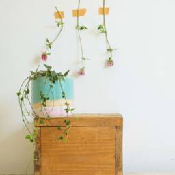 Shoreline Ceramic Plant Pots in 3 Sizes - thumbnail 2