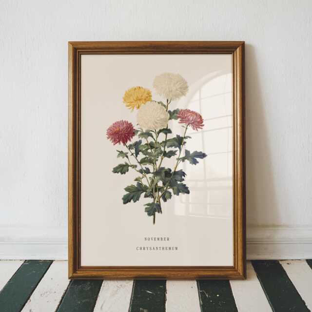 November Chrysanthemum Birth Flower Print - Vintage Botanical Wall Art, Birthday Gift For Her - image 1