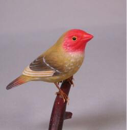 star Finch Hand Carved Wooden Bird - thumbnail 2
