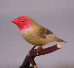 star Finch Hand Carved Wooden Bird