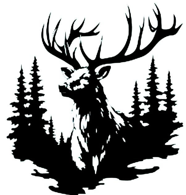Stag Deer Head Hunter Decal Car Van Bonnet Vinyl Side Sticker Wall Art Hood Graphic Window Door Camper Sign Motorhome Campervan