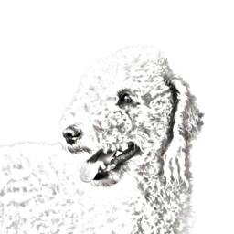 Bedlington Terrier - Wooden Stand For Candles/Pens With The Image Of A Dog New Collection - thumbnail 2