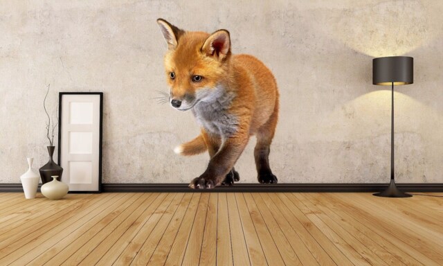 Fox Full Color Decal, Color Sticker, Wall Art, Cn 107