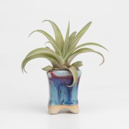 Mini Ceramic Planter Set Handmade Succulent Plant Pot - thumbnail 2