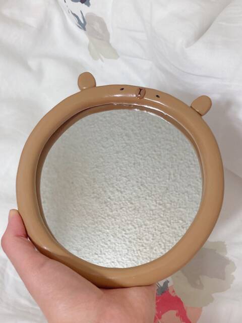 Capybara Mirror - image 1