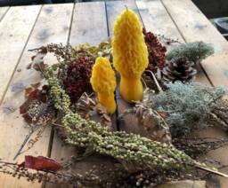 Handmade Michigan Beeswax Morel Mushroom Candle Set Farmhouse Cabin Decor - thumbnail 1