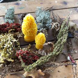Handmade Michigan Beeswax Morel Mushroom Candle Set Farmhouse Cabin Decor - thumbnail 2