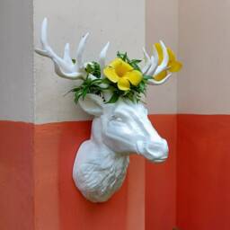 3D Jungle Animal Heads, Wall Mounted Deer Head Planter, Deerheadvase, Deerheadpot - thumbnail 4