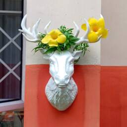 3D Jungle Animal Heads, Wall Mounted Deer Head Planter, Deerheadvase, Deerheadpot - thumbnail 3