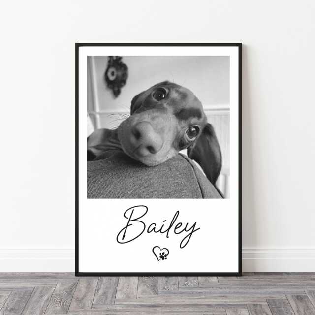 Personalised Pet Photo Print - Dog Print, Gift, Portrait Mum Gift - image 1