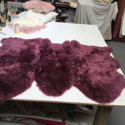 Plum Purple Sheepskin Throw Rug Mid Burgundy Beautiful Luxury Sheepskin - thumbnail 4