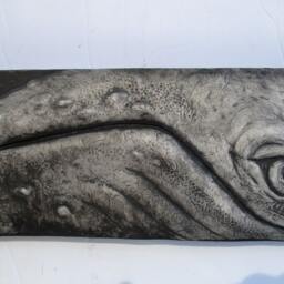 Humpback Whale Eye Relief Sculpture - thumbnail 3