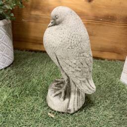 Stone Garden Bird Dove Pigeon Animal Statue Ornament - thumbnail 3