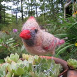 Mrs. Northern Cardinal, Needle Felted Bird Art Fiber Sculpture - thumbnail 3