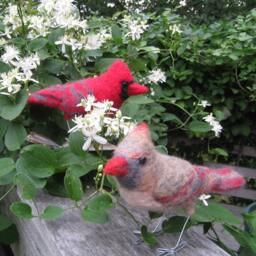 Mrs. Northern Cardinal, Needle Felted Bird Art Fiber Sculpture - thumbnail 4