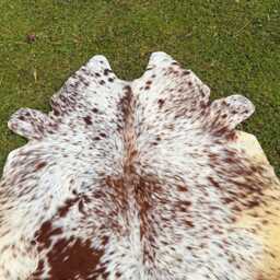 Natural Tricolor Cowhide Rug - Genuine Brazilian Hair-On Hide, Brown White Tones - thumbnail 4