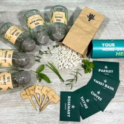 Grow Your Own Herbs Gift Box Basil, Parsley, Chives, Thyme, Rosemary - thumbnail 3