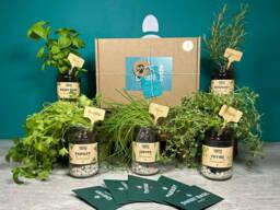 Grow Your Own Herbs Gift Set Basil, Parsley, Chives, Thyme, Rosemary