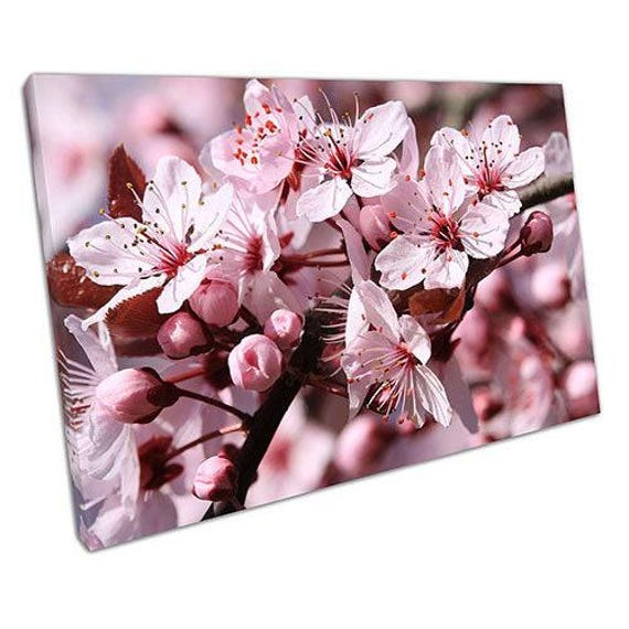 Serene Pink Cherry Blossom Canvas Art Elegant Floral Wall Decor For Home & Office Spaces - image 1
