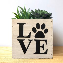 Paw Love Wood Succulent Planter Cat Dog Mom Gift, Father's Day - thumbnail 3