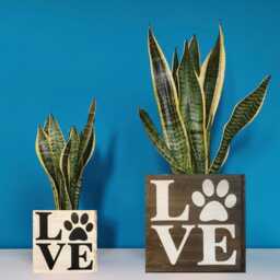 Paw Love Wood Succulent Planter Cat Dog Mom Gift