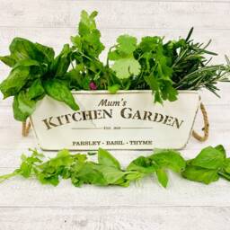 Herb Planter, Vintage Finish, Personalised Herb, Laser Engraved, Mothers Day Gift, Valentines, Fathers - thumbnail 1