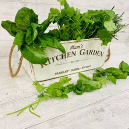 Herb Planter, Vintage Finish, Personalised Herb, Laser Engraved, Mothers Day Gift, Valentines, Fathers - thumbnail 2