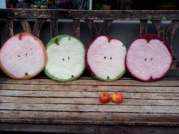 Handfelted Seat Cushion, Apples - thumbnail 1