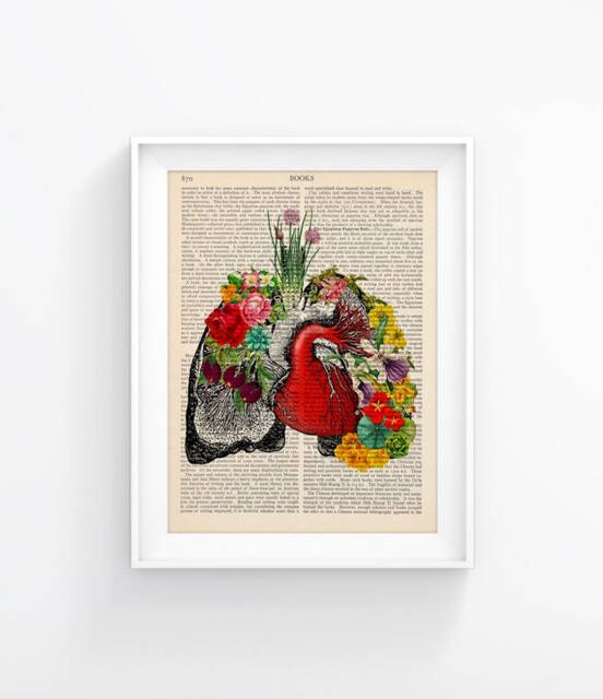 Anatomy Print, Medical Poster Lungs With Heart Vintage Illustration, Upcycled Page Wall Decor - image 1