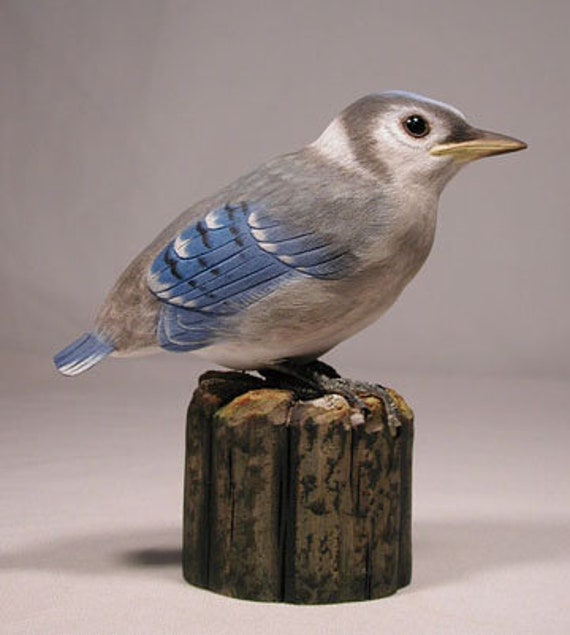 Baby Blue Jay Original Wood Carving