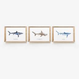 Set Of 3 Watercolor Shark Prints - Original Wall Art Living Room, Nursery, Home D??cor Ocean Beachhouse - thumbnail 1
