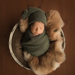Real Rabbit Fur Rug, Newborn Prop, Photography Props Set, Cover, Posing Fabric - thumbnail 2