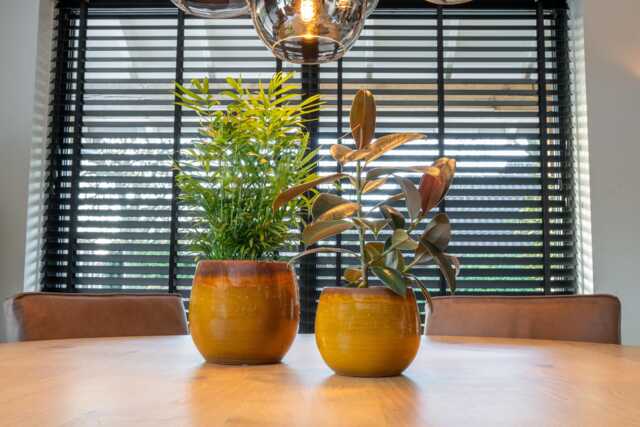 Ochre Glazed Ceramic Plant Pot - Charlotte Indoor Planter, Sizes - D33cm, D30cm, D23cm, D19cm, D15cm - image 1