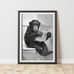 Funny Monkey On Toilet Print - Humorous Animal Art Poster Bathroom Wc Quirky Wall Decor For Laundry Room Or - thumbnail 1