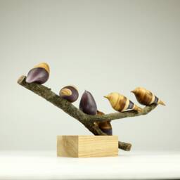 Duo Family Birds - 26 - thumbnail 3