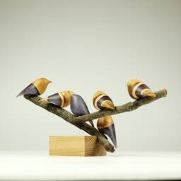 Duo Family Birds - 26 - thumbnail 4