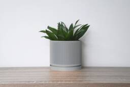 "Mid-Century Modern Planter With Drainage & Saucer in Gray, Unique 3D-Printed Plant Pot, Sizes 4"" 5"" 6"" 7"" 8" - thumbnail 1