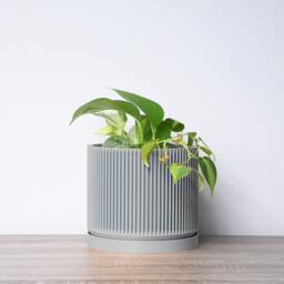 "Mid-Century Modern Planter With Drainage & Saucer in Gray, Unique 3D-Printed Plant Pot, Sizes 4"" 5"" 6"" 7"" 8" - thumbnail 2