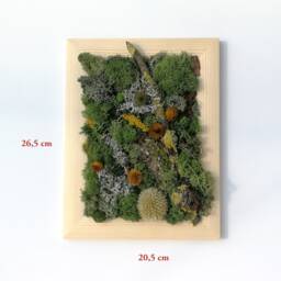 Preserved Moss Wall Art Framed Natural Home Decor - thumbnail 3
