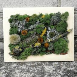 Preserved Moss Wall Art Framed Natural Home Decor - thumbnail 4