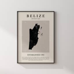 Belize Map Vintage Abstract Wall Art Print Picasso + Matisse Inspired Travel Poster - thumbnail 3