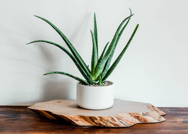 Sedona White Porcelain Ceramic Planter Modern Round Plant Pot - image 1
