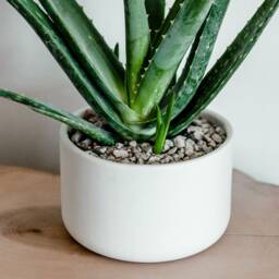 Sedona White Porcelain Ceramic Planter Modern Round Plant Pot - thumbnail 2