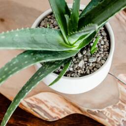 Sedona White Porcelain Ceramic Planter Modern Round Plant Pot - thumbnail 3
