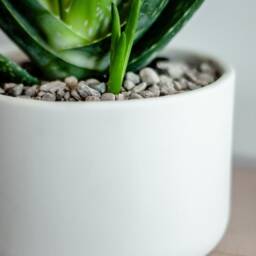 Sedona White Porcelain Ceramic Planter Modern Round Plant Pot - thumbnail 4