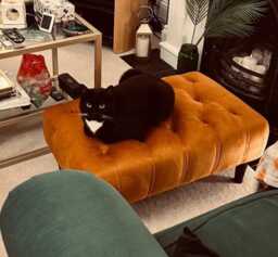 Chesterfield Velvet Footstool - Tufted Ottoman With Black Legs 90x46x37cm - thumbnail 1