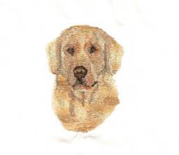 Cushion Cover Dog Embroiderd Name