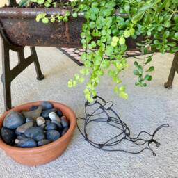 Wire Snail Sculpture Continuous Steel Art - thumbnail 4