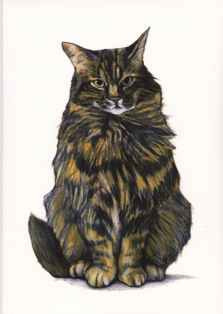 Tabby Cat Art Print, Drawing, Illustration, Wall Art, Cats, Cat Images, Cats in Art, Cat Fine Art, Jim Griffiths
