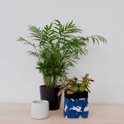 Rabbit Print Fabric Plant Pot - Waterproof Textile Storage Basket - thumbnail 2